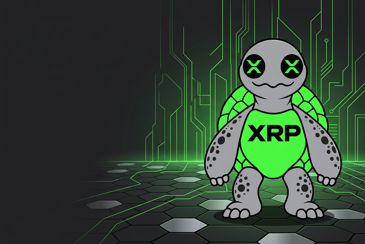The silver and neon-green LEDG turtle in an illustrated XRP-inspired world